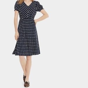 J.Crew Vintage Vibes Polka Dot Dress